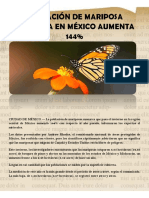 Población de Mariposa Monarca en México Aumenta 144