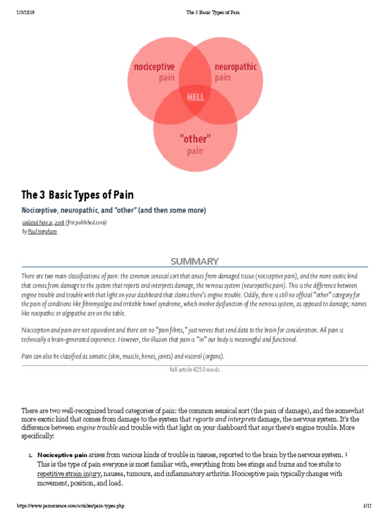 Understanding Nociceptive and Neuropathic Pain | PDF | Peripheral ...