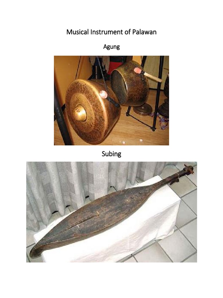 Musical Instrument of Palawan Agung PDF