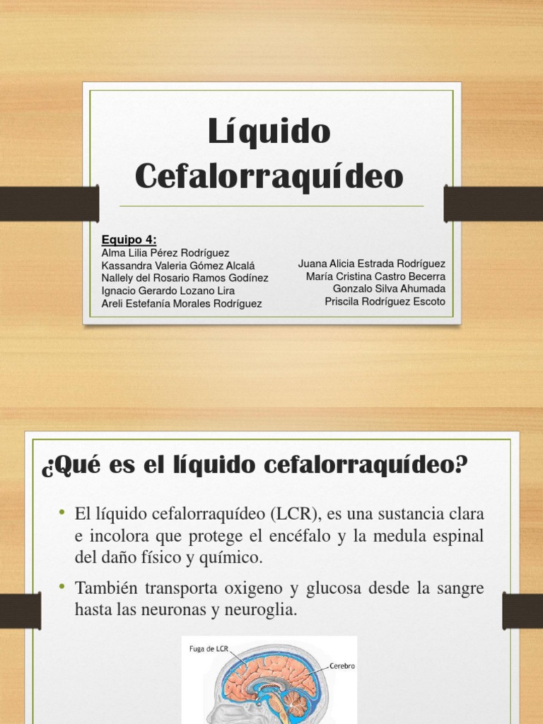 Funciones y Formación del LCR | PDF | Fluido cerebroespinal | Sistema ...