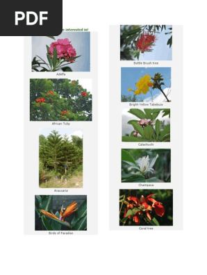 Ornamental Plants with Names & Images | PDF | Garden Plants | Botany