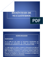 Clase Biosíntesis de Nucleotidos - Oscar Sosa