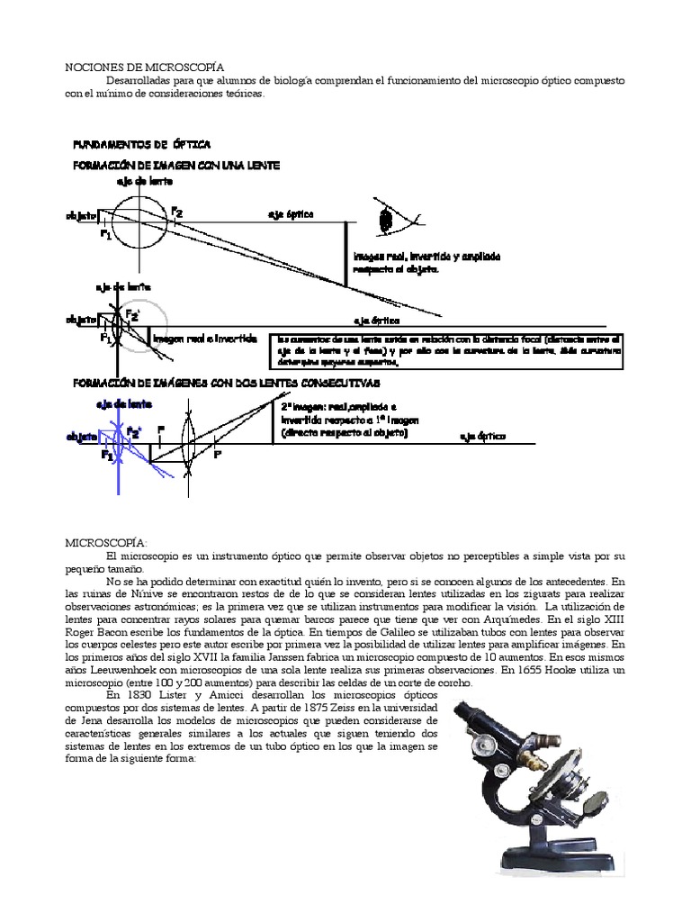 Guía de Microscopía Óptica Compuesta | PDF | Óptica | Microscopio