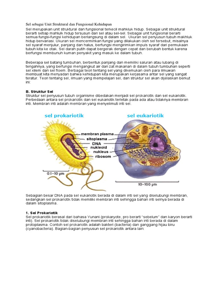 Sel Sebagai Unit Struktural Dan Fungsional Terkecil Makhluk Hidup
