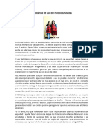 Ensayo-Importancia Del Uso Del Chaleco Salvavidas PDF