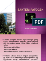 #BAKTERI PATOGEN.pptx