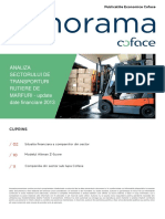 Analiza Transportatorilor Din Romania Update 2013 PDF