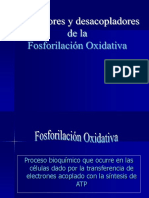 Fosforilacion Oxidativa