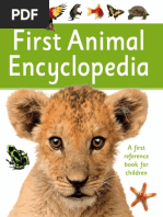 1dk Publishing First Animal Encyclopedia Pdf Beetle Mammals