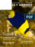 CoralesyMarinos N2 AGOSTO-2017 PDF
