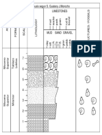 Limestones Columna Sedimentaria de Chusis Segun S. Gualany J.Morocho
