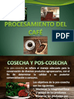 procesamiento del cafe en Guatemala