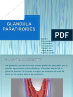 Glandula Paratiroides