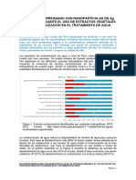 Biocarbon NPs Ag 2