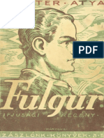 Fulgur.pdf