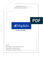 MapInfo.pdf