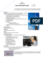 Curso Pilot