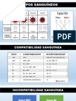 EXPO de LABO - Incompatibilidad Sanguínea