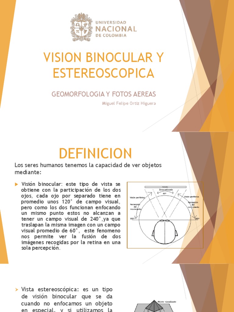 Vision Binocular y Estereoscopica PDF