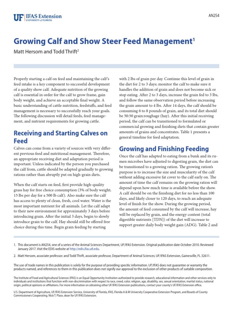 Growing Calf and Show Steer Feed Management PDF Cattle Cereals