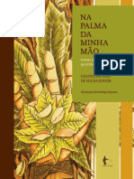 _Na_Palma_Da_Minha_Mao__Temas_Afro-brasileiros_e_Questoes_Contemporaneas.pdf