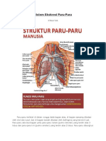 Sistem Ekskresi Paru