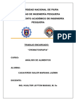 CROMATOGRAFIA_EN_CAPA_FINA_A_ANALISIS.docx