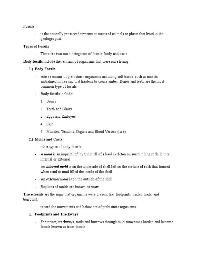 Fossils Notes PDF Fossil Science