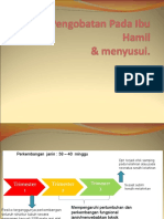 Prest Obat Bumil - PPT Yg Diedit