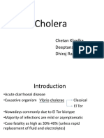 Cholera Final