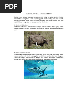 Definisi Ciri Bangun Datar