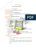 Proiect Grad I Matematica