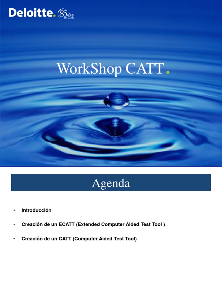 Guía para Crear CATT y ECATT en SAP | PDF | Point and Click | Archivo ...