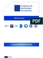 skills-placasbase.pdf
