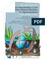 Flyer Course P Biogeochemistry 2019