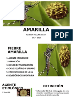 Fiebre Amarilla Chikungunya