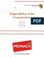 Emprendedor en Las Corporaciones