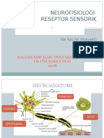 reseptor sensorik ppt.pptx