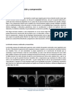 Puentes Arco1_miguel4_fig.pdf