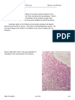 Abscess and Phlegmon.pdf