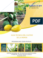 GUIA CULTIVO PAPAYA.pdf