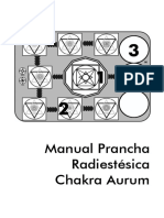 Manual Prancha Chakra Aurum guia rápido