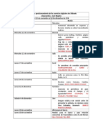 Cronograma Plan de Medios Citibank