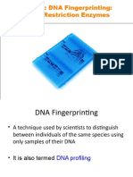 Forensic DNA Fingerprinting: Using Restriction Enzymes