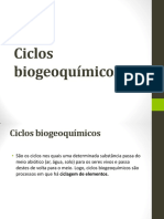 Ciclos Biogeoquímicos