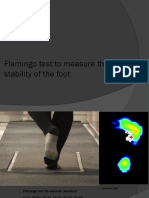 Flamingo Test To Measure The Stability of The Foot