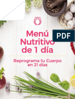 Menu Nutritivo de 1 Dia Reprograma Tu Cuerpo