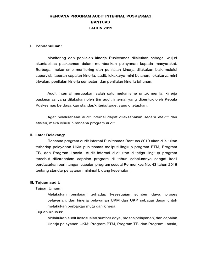 Rencana Audit Internal Puskesmas 2019 | PDF | Bisnis | Teknologi & Rekayasa
