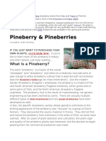 What Are Pineberries