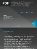 Micorrizas